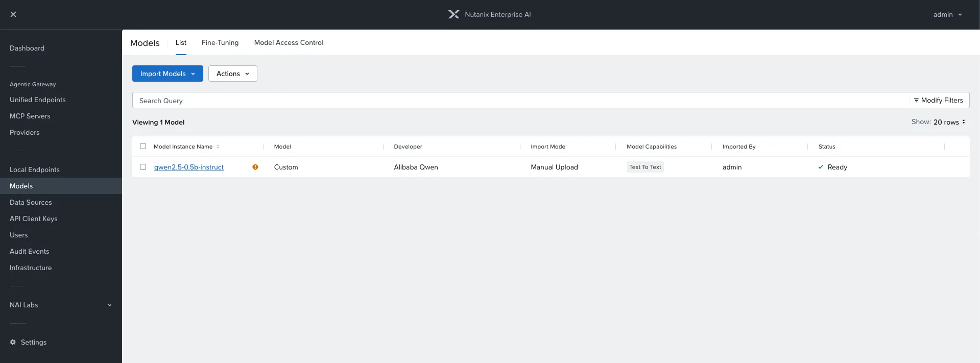 NAI 2.8 model catalog: qwen2.5-0.5b-instruct imported as a Custom model, status Ready
